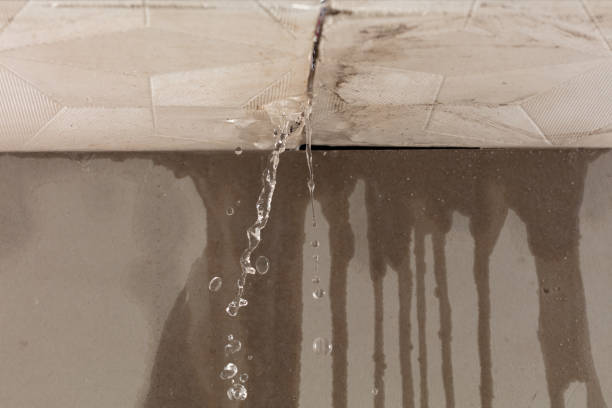 Professional Water Damage Repair technician working in New Milford, IL